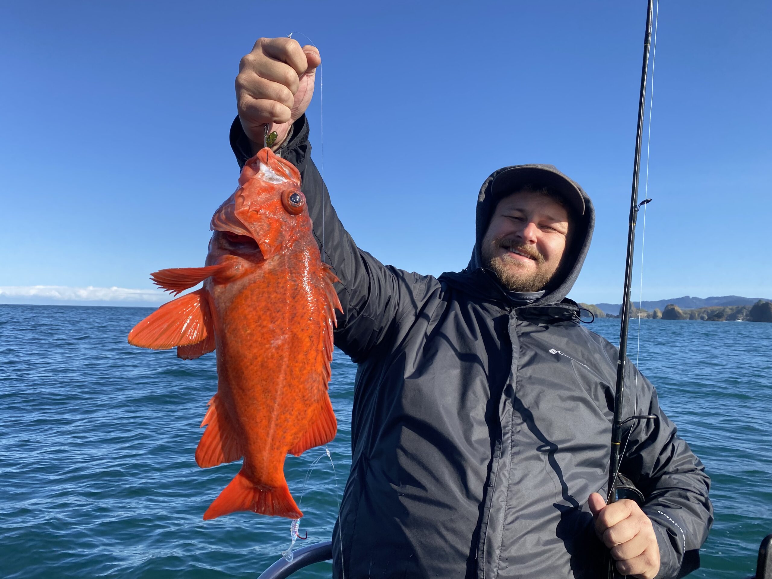Lingcod action good in Brookings