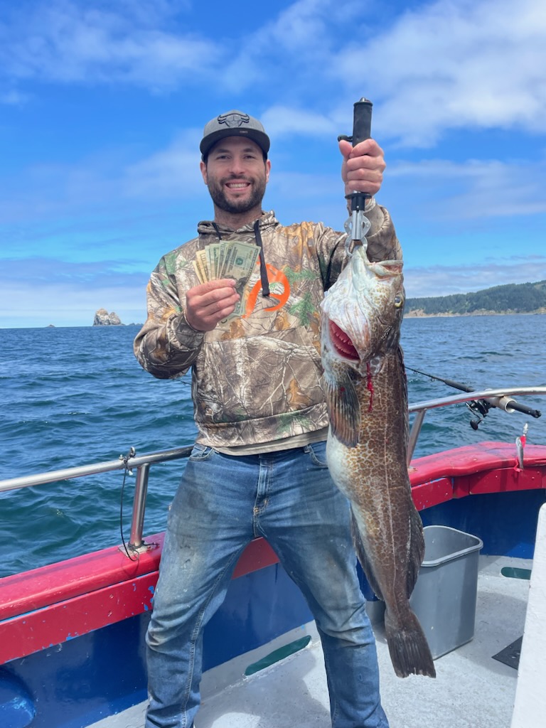 Lingcod biting at lighthouse, Mack Arch; local halibut action heats up -  Brookings Fishing Reports
