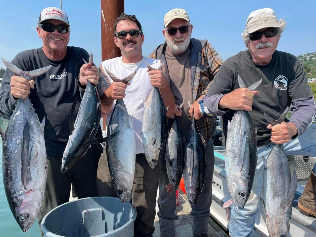 Albacore tuna, Pacific halibut, lingcod action heats up