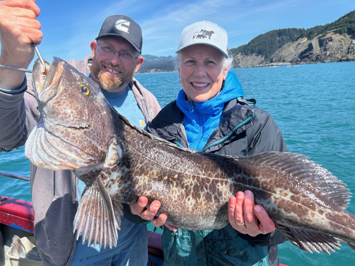 Spectacular lingcod action, spring salmon await anglers on Oregon Coast