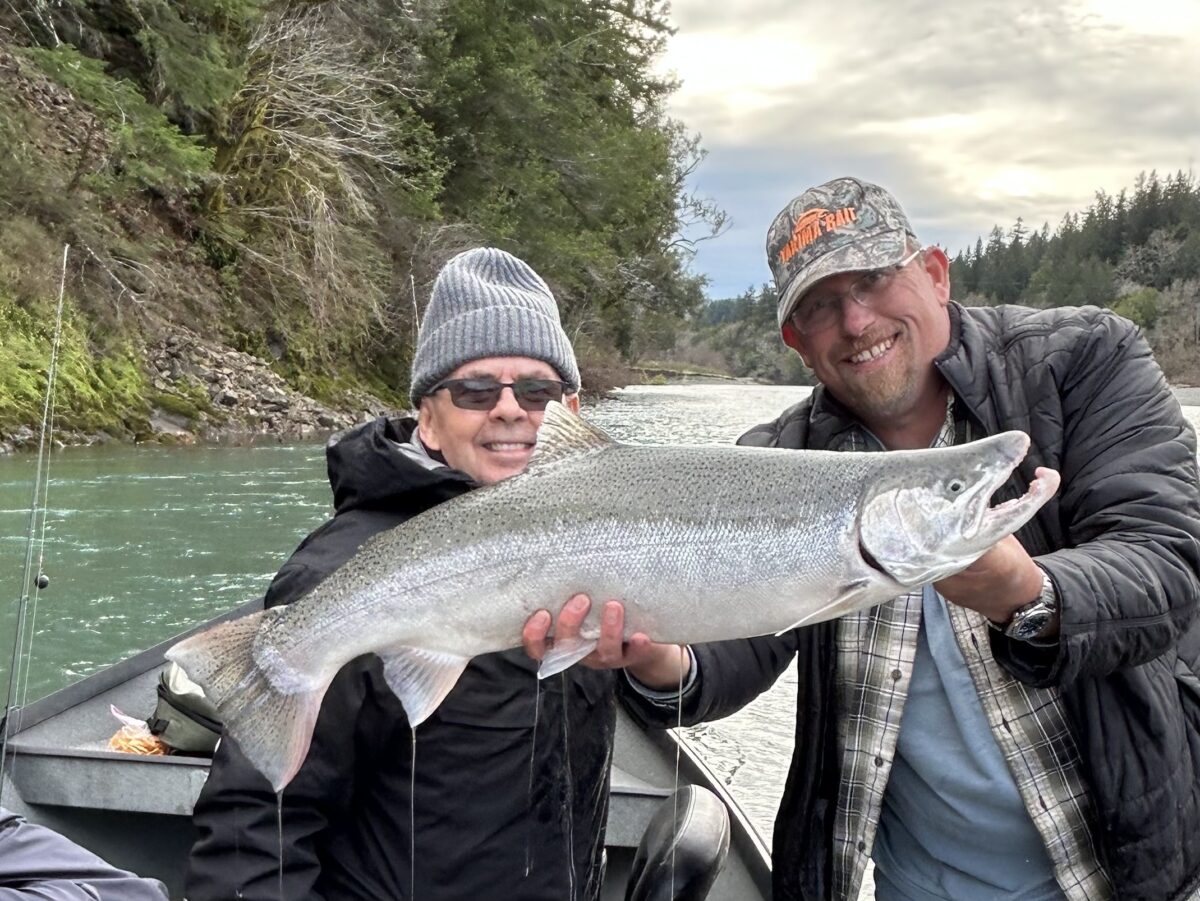 Steelhead season begins with above-average fish